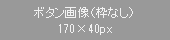 ボタン画像（枠なし）170×40px